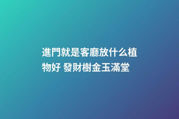 進門就是客廳放什么植物好 發財樹金玉滿堂